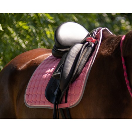 Pack de Mantilla Florence + Protectores Delanteros y Traseros de QHP