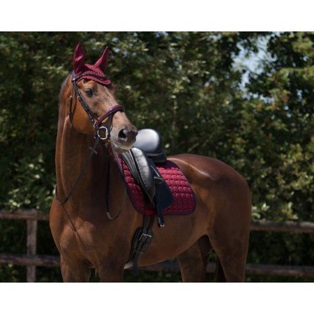Pack de Mantilla Florence + Protectores Delanteros y Traseros de QHP