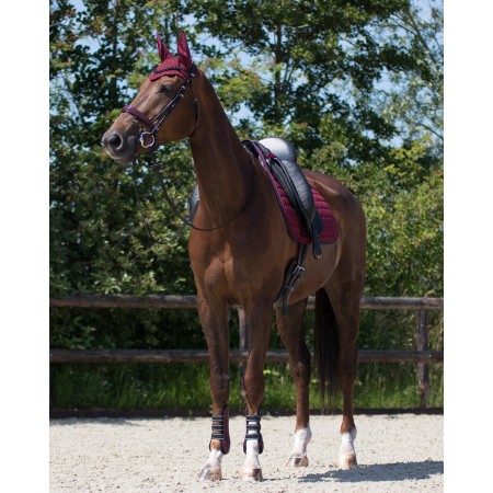Pack de Mantilla Florence + Protectores Delanteros y Traseros de QHP