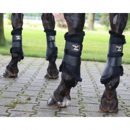 Protectores de Tendón Flexibles de BACK ON TRACK®