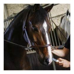 Magic Instant, calmante natural para caballos (jeringa 3x30 ml) 2