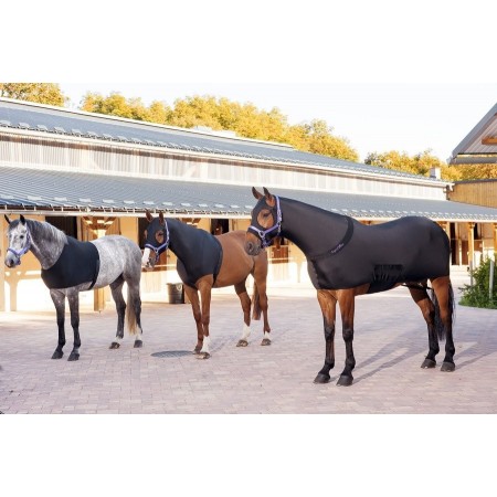 Protección de hombros para caballo