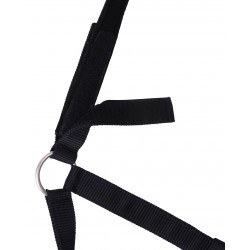 Cabezada de Cuadra de Seguridad de QHP 2