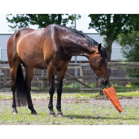 Juguete para Caballos XL de QHP