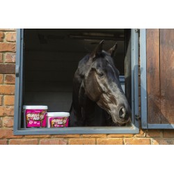 Alimento Complementario "Gastri Aid" (1,8 kg) de NAF 2
