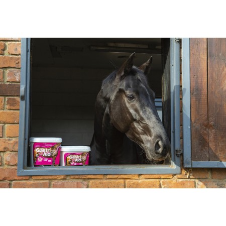 Alimento Complementario "Gastri Aid" (1,8 kg) de NAF