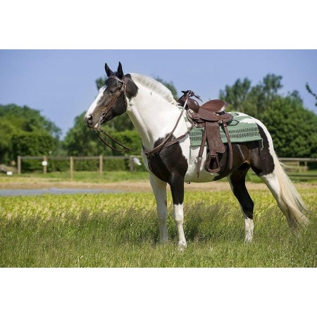 Silla de montar western "Topeka" de Randol's