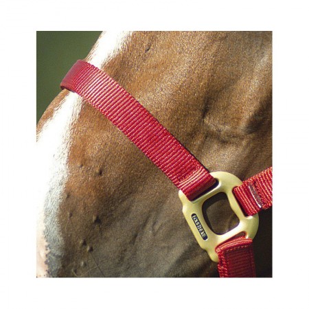 Cabezada de cuadra de nylon con hebillas gris satinado de EQUITHÈME