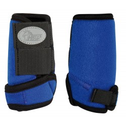 Protectores para Poni y Shetland de HARRY'S HORSE