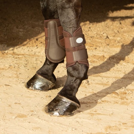 Protectores "FREXTRAINER AIR MESH" de HARRY'S HORSE