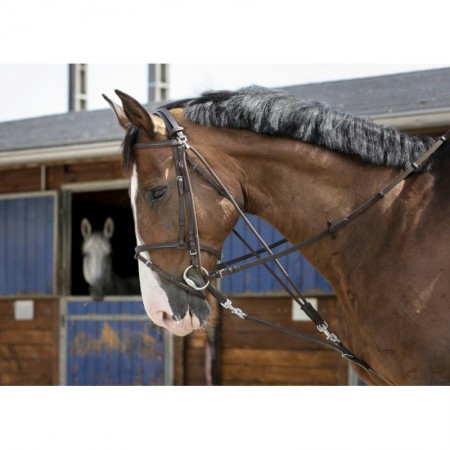 Gogue con poleas para poni y caballo de Riding World