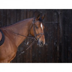 Gogue con poleas para poni y caballo de Riding World 2
