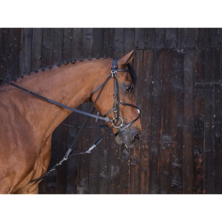 Gogue con poleas para poni y caballo de Riding World