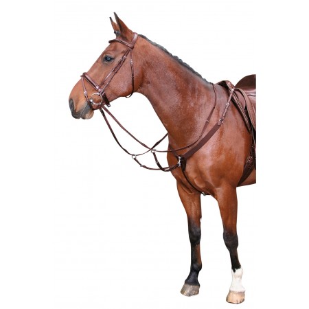 Pechopetral elástico de HARRY'S HORSE