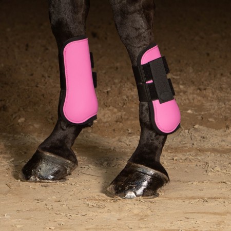 Protectores de tendón de HARRY'S HORSE