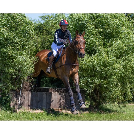 comprar Campanas Técnicas Q-Cross de QHP de Caballo