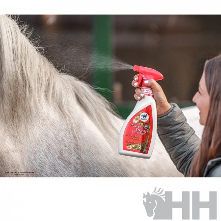 Spray acondicionador de pelo Power para caballos de capa clara LEOVET