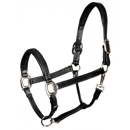 Cabezada de Cuadra Cuero de HARRY'S HORSE