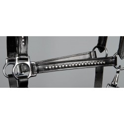 Cabezada de cuadra Cuero "CRYSTAL" de HARRY'S HORSE 2