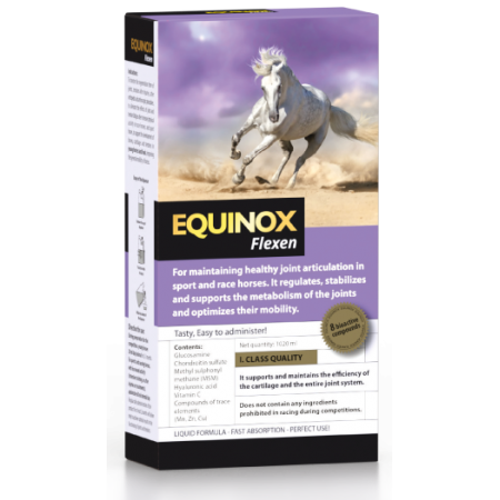 Flexen de EQUINOX