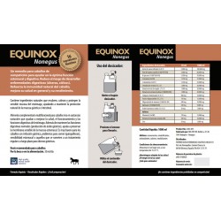 Nonegus de EQUINOX 2