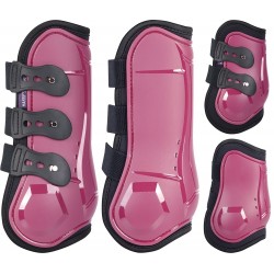Protectores delanteros...