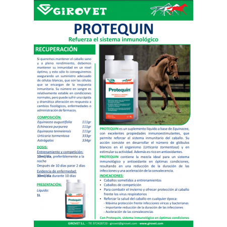 Protequin Suplemento para reforzar el sistema inmunológico del caballo de NUTRILABS