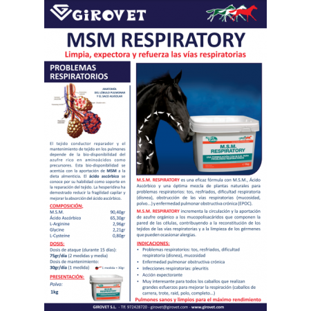 MSM para Problemas Respiratorios de NUTRILABS