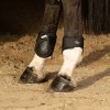 Protectores de Menudillo "BREATHE" de HARRY'S HORSE