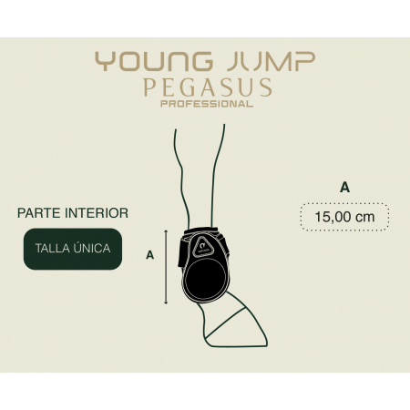 Protectores Traseros de salto "YOUNG JUMP PEGASUS" de GATUSOS