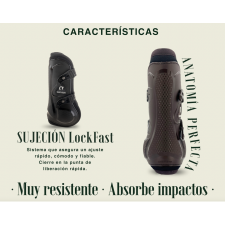Conjunto Protectores Delanteros + Traseros PEGASUS de Gatusos