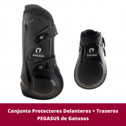Conjunto Protectores...