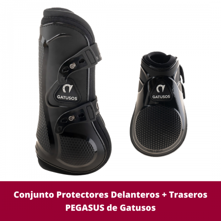 Conjunto Protectores Delanteros + Traseros PEGASUS de Gatusos