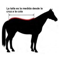 Manta caballo cuadra Quarter Horse 350 g Usa Stars Umbria 2