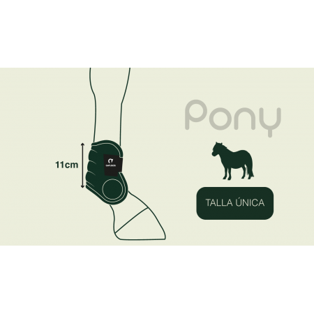 Conjunto de Protectores Delanteros y Traseros PONY DELUXE de Gatusos