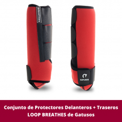 Conjunto de Protectores...
