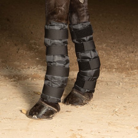 Protectores de frío para tendón de HARRY'S HORSE