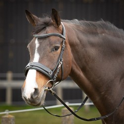 Cabezada de montar "CAVESSON" con anillas de HARRY'S HORSE 2
