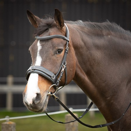 Cabezada de montar "CAVESSON" con anillas de HARRY'S HORSE