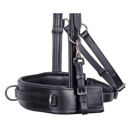 Cabezada de montar "CAVESSON" con anillas de HARRY'S HORSE