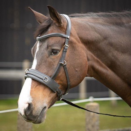 Cabezada de montar "CAVESSON" con anillas de HARRY'S HORSE