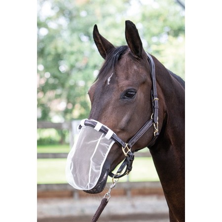 Protector nasal de HARRY'S HORSE