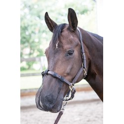 Protector nasal de HARRY'S HORSE 2