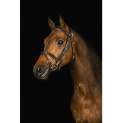 Brida "Ortega" de MRS ROS 2