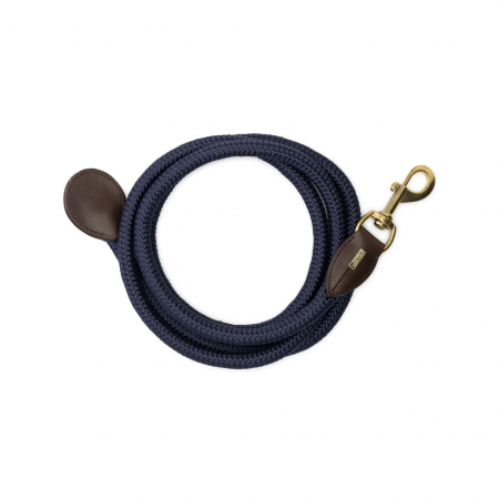 Ramal "Deluxe" de MRS ROS