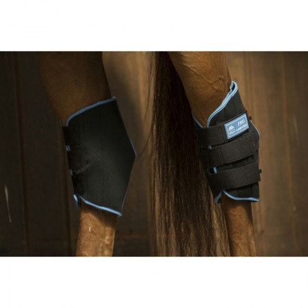 Protectores de corvejón "ICE BOOTS" de LAMI-CELL