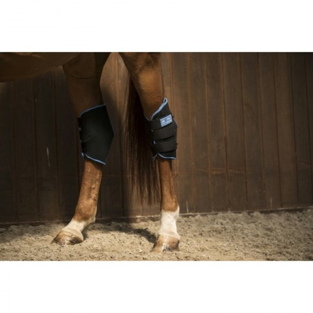 Protectores de corvejón "ICE BOOTS" de LAMI-CELL