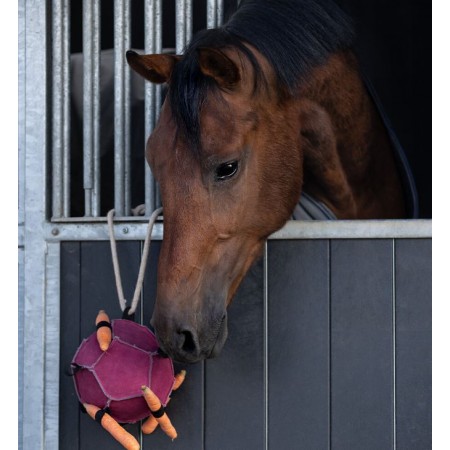 Pelota de juguete para caballos de QHP