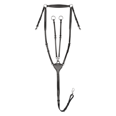 Pechopetral "X-LINE PROFESSIONAL" de WALDHAUSEN
