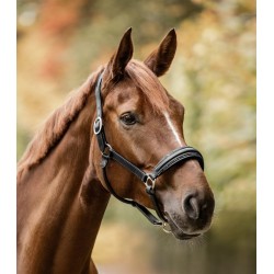 Cabezada de cuadra "S-LINE GLAMOUR" de WALDHAUSEN 2